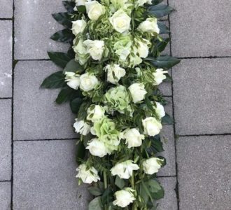 Langwerpig wit-groen